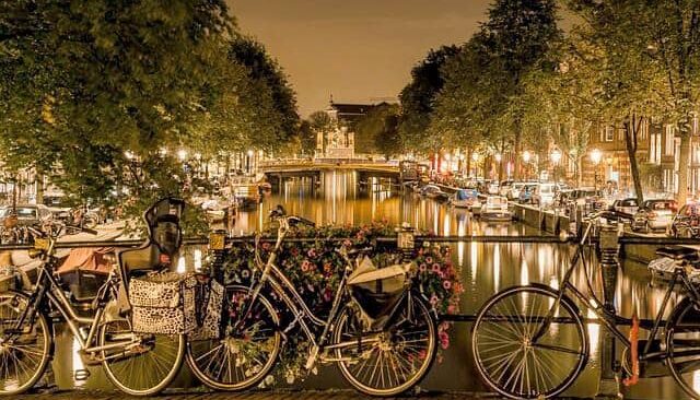 {{brizy_dc_image_alt entityId=