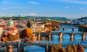 {{brizy_dc_image_alt entityId=