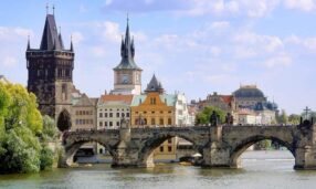 {{brizy_dc_image_alt entityId=